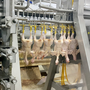 Equipo pequeño de Abattoir para desinfección de aves de corral, proceso cerca de mi - Product Image 3