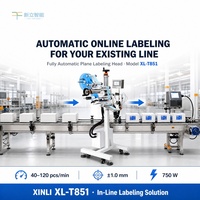 Cabezal de Etiquetado Automático para Línea de Producción de Cintas Transportadoras, Equipo de Etiquetado Autoadhesivo para Cajas, Cartones y Tarjetas