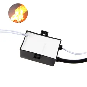 Allumeur <span class=keywords><strong>électronique</strong></span> stable d'usine DC 12V/24V 1.5A pour allumeur de Combustion de gazole de carburant pour le produit de briquets de cuisine de chaudière - Product Image 1