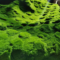 Tapis de fleurs artificielles de haute qualité Tapis de mousse artificielle Panneaux carrés de mousse réalistes artificiels Type de plante de mur d'herbe en plastique