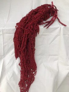 Decoraciones <span class=keywords><strong>de</strong></span> boda al por mayor flores amaranto colgantes blancas conservadas para graduación Navidad Acción <span class=keywords><strong>de</strong></span> Gracias precio <span class=keywords><strong>de</strong></span> fábrica - Product Image 3