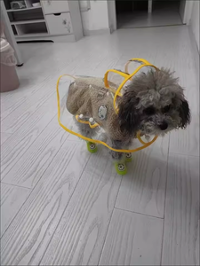 Impermeabile trasparente impermeabile per <span class=keywords><strong>razze</strong></span> di <span class=keywords><strong>cani</strong></span> di piccola taglia stile modello animale estivo - Product Image 4