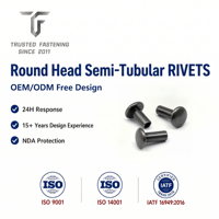 Rivets semi-tubulaires à tête ronde en acier au carbone TianFang pour clips de montage solaire, finition zinguée, sur commande
