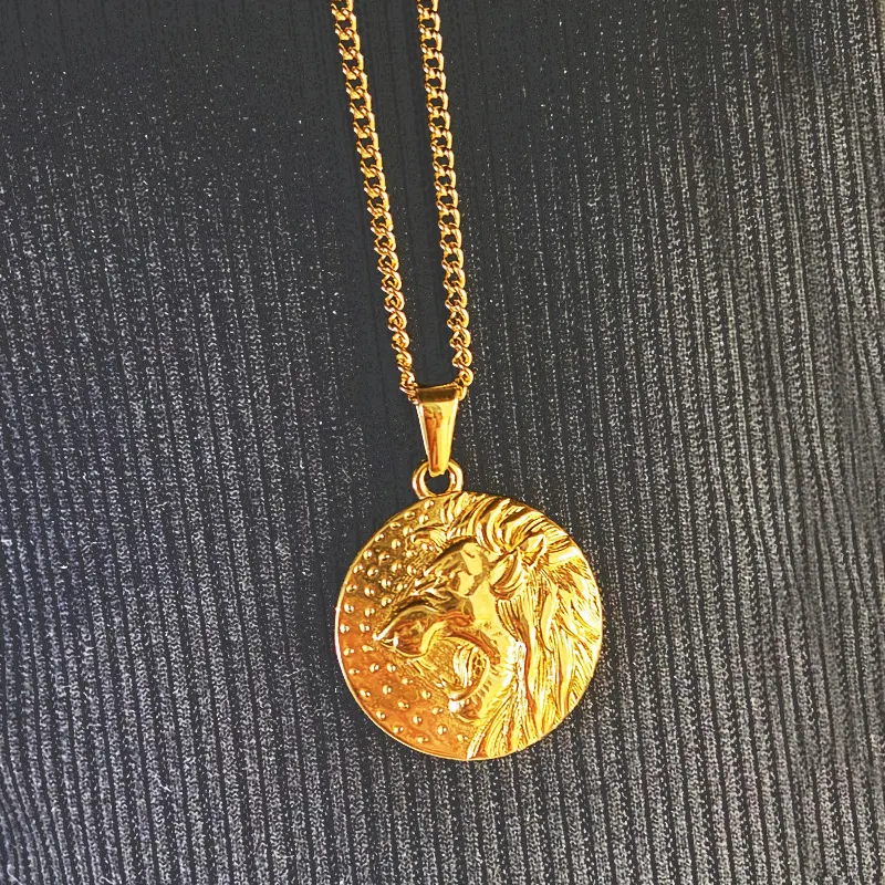 Hiphop altın aslan başkanı kolye paslanmaz çelik erkekler antik sikke yunan Charm kolye zincir takı hayvan aslan kafası kolye