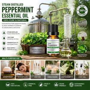 <span class=keywords><strong>Huile</strong></span> <span class=keywords><strong>essentielle</strong></span> de cyprès chinois <span class=keywords><strong>pour</strong></span> la peau, les cheveux et les <span class=keywords><strong>varices</strong></span> - 100% pure, extrait de plante naturelle |   Qualité thérapeutique Prix en gros 1 kg - Product Image 6