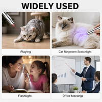 Pointeur laser infrarouge interactif pour chiots, chiens seniors et chats, avec plusieurs modes d'éclairage pour l'entraînement et les récompenses