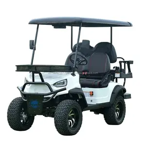 2024 nouvelle conception voiturette de golf 4 places avec gaz ou énergie électrique 2 4 6 8 sièges voiturette de golf électrique navette