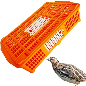 YYC PH270 plastic poultry chicken transport crates pigeon chick quail transport cage
