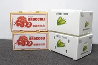 Feuille de corflute creuse en PP Boîte en carton ondulé Feuille de coroplast en plastique PP Boîte de corflute Stockage de légumes Boîte d'expédition empilable