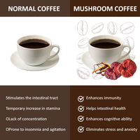 Poudre de café aux champignons très vendue avec Lion's Mane, Chaga, Reishi et plus encore pour soutenir la mémoire et la concentration