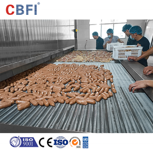 ناقل تجميد على شكل نفق من Iqf للصلصات للعمل المستمر والمستقر - Product Image 5