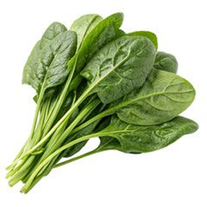 Variedad de Espinaca para Cultivo Comercial con Excelente Adaptabilidad, Crecimiento Fuerte y Calidad Preferida por el Mercado y para la Agricultura - Product Image 5
