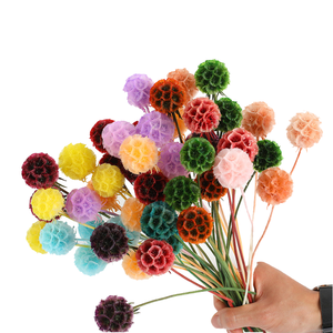 Vainas de Scabiosa Naturales Multicolores, Flores Secas de Tipo Windmill, Suministro al por Mayor para Arreglos Florales, Decoración de Bodas y Fiestas - Product Image 2