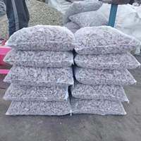 OG-224 Vente en gros de corail artificiel, matériau filtrant pour aquarium, squelette de corail pour aquarium marin, ajustement du pH, décoration paysagère