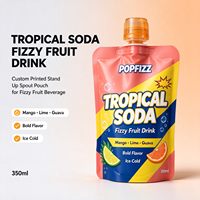 Pochette souple personnalisée avec bec verseur, non transparente, pour emballage de liquides, avec bouchon à vis, pour sodas tropicaux et boissons fruitées gazeuses