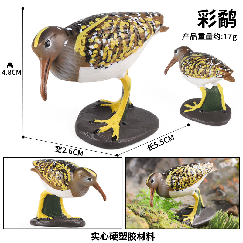 M-2722 Colored Snipe