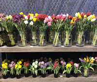 F-1216 Vente en gros de tulipes artificielles au toucher réel, fleurs artificielles très vendues, bulbes de tulipes artificielles hollandais, tulipes blanches en PU