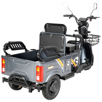 Tricycle électrique cargo Paige 600W 800W 1000W, personnalisé en usine, pas cher, pour adultes, avec cabine fermée, tricycle à moteur électrique personnel