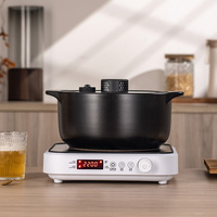 Cuisinière infrarouge électrique multifonction 2200W avec commande tactile et bouton rotatif, OEM/ODM, un brûleur, pour comptoir domestique, fabricant