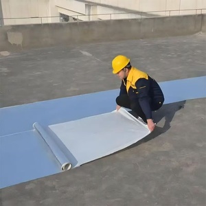 Feltro bituminoso autoadesivo impermeabile SBS per coperture, colore Dayang, conforme a ASTM D-4869 15 #   Grafica di design moderno per perdite in appartamento - Product Image 1