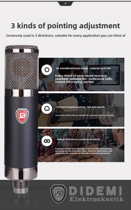 Microphone d'enregistrement karaoké à trois réglages directionnels pour un design rétro, utilisé dans les studios d'enregistrement - Product Image 4