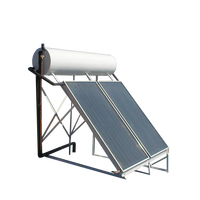 Système de chauffage de panneau d'eau chaude solaire collecteur pénal plat de secours électrique divisé