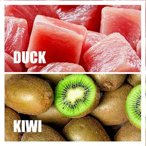 Golosinas para Perros de Marca Propia, Masticables Dentales de Larga Duración para Mascotas, Golosinas de Pato y <span class=keywords><strong>Kiwi</strong></span> para Perros, Alimento para Mascotas al por Mayor, Sabor a Fruta con Alto Contenido en Vitaminas - Product Image 2