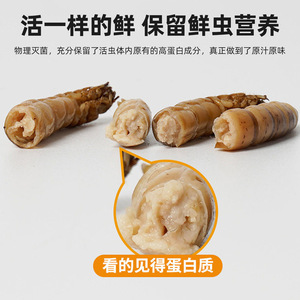 Insectes Conservés Aliment pour Reptiles Riches en Protéines : Grillons, Vers de Farine, Dubia, Orge pour Tortues, Oiseaux, Hamsters, Chinchillas – Boîte de 40g - Product Image 2