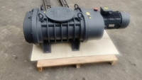 Bomba de Vacío Roots DLT.LC4200 de 15 HP, Industrial, Baja Presión, Hierro, 4200M/h, Motor Trifásico, Minería, Metalurgia, OEM