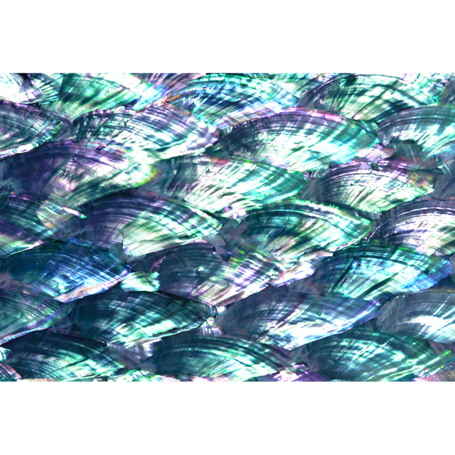 Mother of Pearl Shell Veneer Paua Abalone Paper Laminate Shell Sheet DB023
