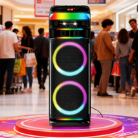 Enceinte karaoké Bluetooth 100W RMS avec double woofer de 8 pouces, système de sonorisation pour fêtes en extérieur avec 2 micros sans fil, USB, SD, FM et télécommande