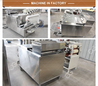 Machine à décortiquer les fèves de cacao, capacité 300 kg, décortiqueuse, éplucheuse, machine à éventiler les fèves de cacao
