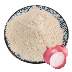 Organic Product GMP Certified Factory Supply High Quality Best Bulk Pure Organic Fresh Flavour Onion Juice Powder Food Grade Wholesale Price