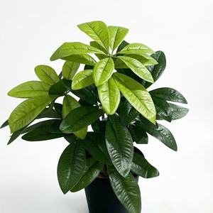 Nuevos Árboles Decorativos Artificiales de PVC Ecológicos Schefflera <span class=keywords><strong>Arboricola</strong></span> de 9 Cabezas para Decoración de Interiores - Product Image 6
