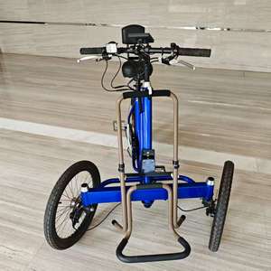 Tricycles à une vitesse, vélos cargo à 3 roues, vélos électriques Bakfiets pour loisirs, courses, exercices avec dossier - Product Image 4