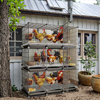 Système de Conception de Poulaillers pour l'Élevage de Volailles, Cage à Poules Pondeuses, Cage pour Poussins, Meilleur Prix, Fabrication Chinoise
