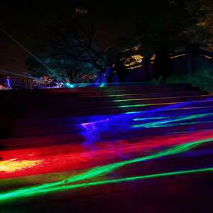 Luz láser LED dinámica para iluminación de árboles blancos y paisajes en espectáculos de iluminación navideña - Product Image 1