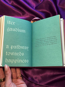 สมุดบันทึกโฮโลแกรม LABON สำหรับทำนายไพ่ทาโรต์ ปกแข็ง พร้อมคำแนะนำสำหรับการจดบันทึกเรื่องการสำเร็จผลที่ต้องการ ขอบสีรุ้งเคลือบทอง ขนาด A6 ทำจากหนังวีแกน สมุดบันทึกสำหรับกิจกรรมทางจิตวิญญาณ - Product Image 4