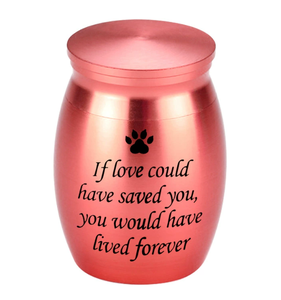 תעודת ce ניתן להתאמה אישית מחמד ג 'ד זהב לבן כחול חתול ארון זיכרון חתול - Product Image 5