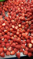 Échantillon gratuit nouvelle saison fraises congelées IQF en vrac pour la vente en gros et au détail