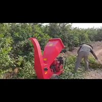 Broyeur de bois multifonctionnel pour branches sèches et humides, idéal pour les déchets de jardin, de ferme et de cour