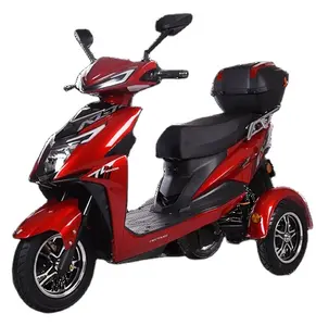 Wuyang Electric Tricycle 60V King Electric scooter Parents Elderly Travel Battery motorbike Shopping bike Moped