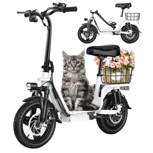 Personnalisé INSDGRN C14 Vélo Électrique Pliant En Acier Au Carbone 48V 500W Moteur 10.4 Portée 50km Vitesse 14*2.0 Pneu 25 km/h Serrure - Product Image 1