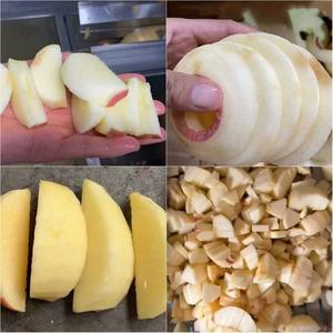 Nouvelle conception, vente chaude, machine multifonctionnelle pour le traitement des fruits, machine à sauce aux pommes, moteur 220V 2,2KW, fabriqué en Chine - Product Image 2