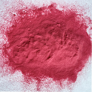 Proveedor de Ciyuan, extracto de fruta de Cactus de la mejor calidad, extracto de <span class=keywords><strong>Opuntia</strong></span> Ficus - Product Image 2
