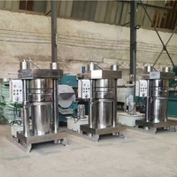 Presse extracteur d'huile d'arachide basilic graines de carthame Machine presse à froid presse à huile de noyau d'abricot expédition mondiale