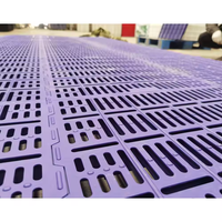 Plancher en lattes de plastique épaissi et durable pour élevage de porcelets, cages pour animaux, abris pour bétail, certifié ISO9001, personnalisable