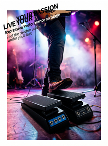 เอฟเฟคกีตาร์ไฟฟ้าขายส่งยอดนิยม บอสกีตาร์ ฟลานเจอร์ จอยโอ วาห์วาห์ เพดัล - Product Image 2