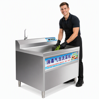 Frisse fruit- en groentewasmachine met luchtbellen en motor, 220V, 4kW vermogen