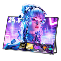 Großer Tragbarer Touchscreen 24,5 Zoll 2,5K 165Hz 16,7M Farben 100% sRGB Erweiterter Bildschirm für Notebook PC